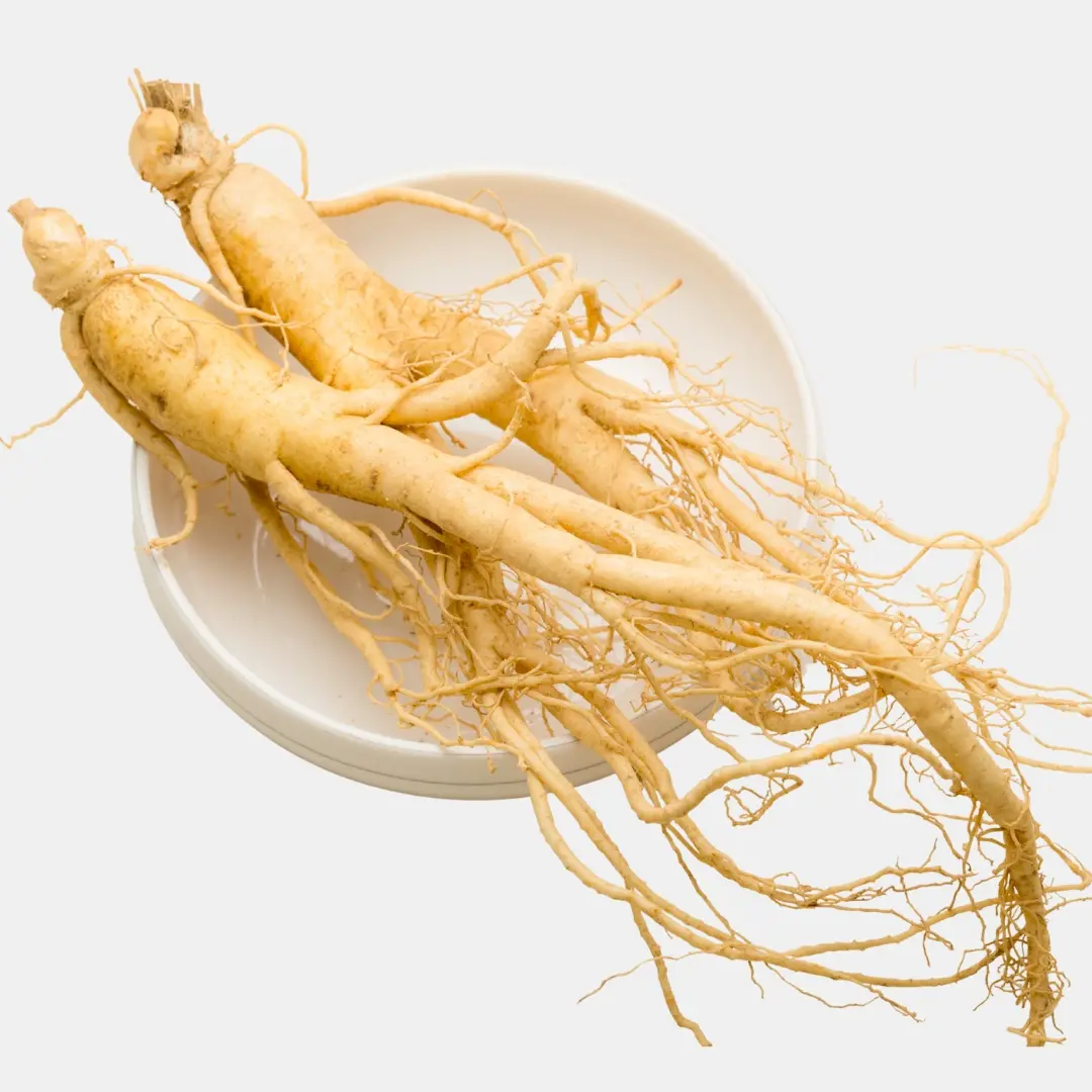 Ginseng